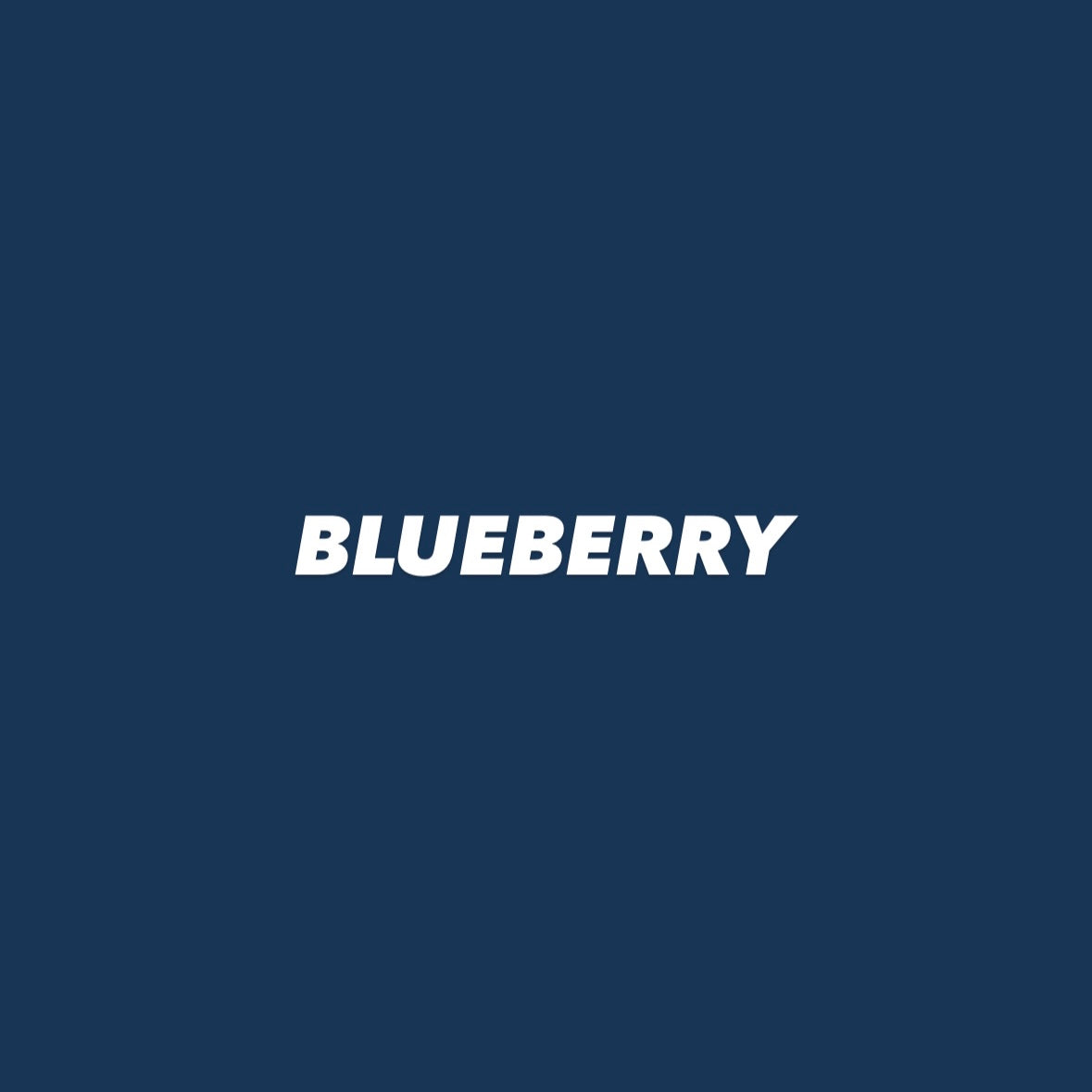 BLUEBERRY HOODIE (HEAVYWEIGHT)