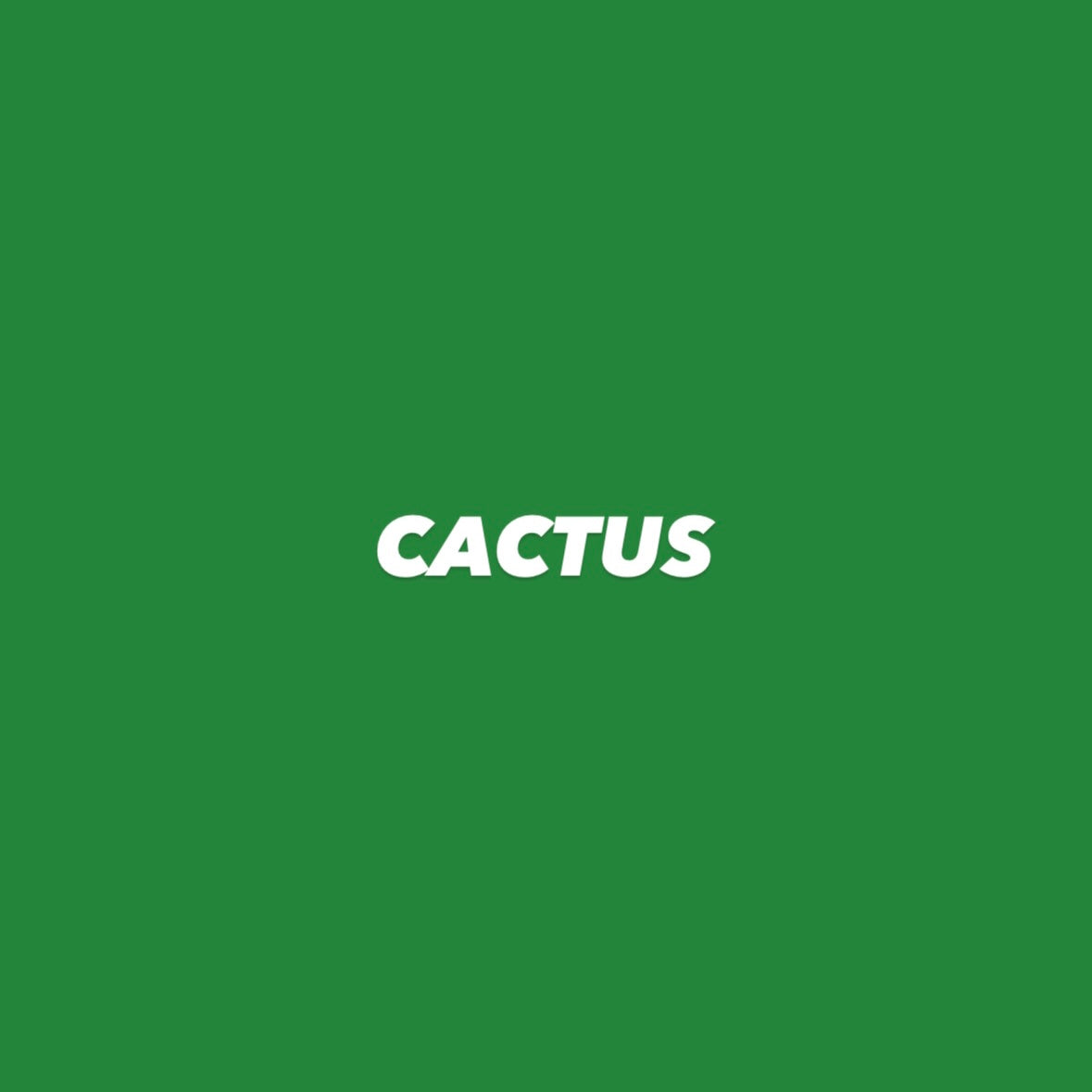 CACTUS HOODIE